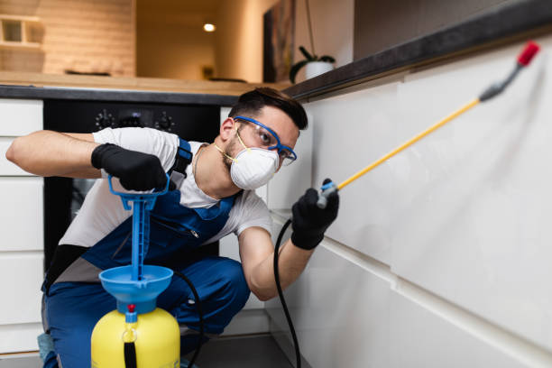 Best Affordable Pest Control Services  in Carlton, OR