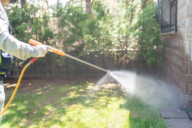 Best Wildlife Control Services  in Carlton, OR