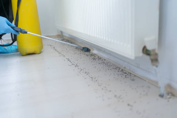 Best Flea Control Services  in Carlton, OR