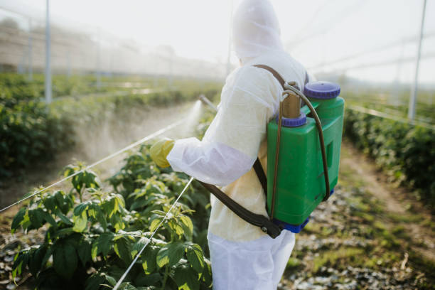Wasp Removal Services in Carlton, OR